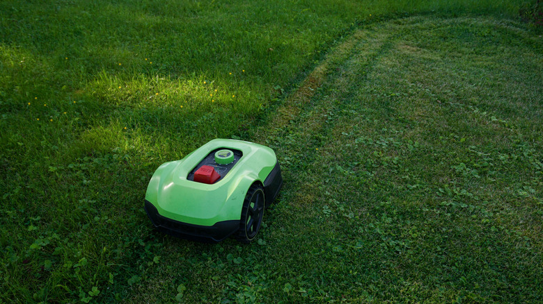A robotic lawn mower in action