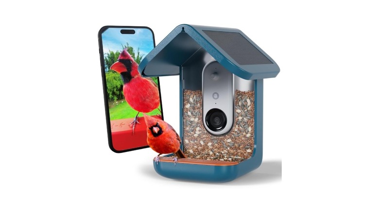 Birdbuddy Pro solar bird feeder