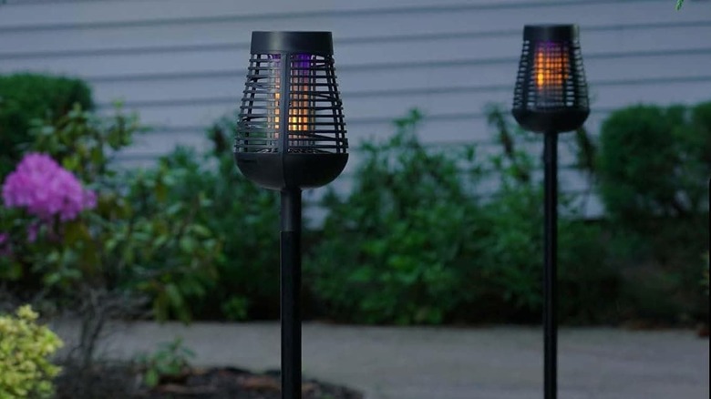 PIC Bug Zapper on a walking path.