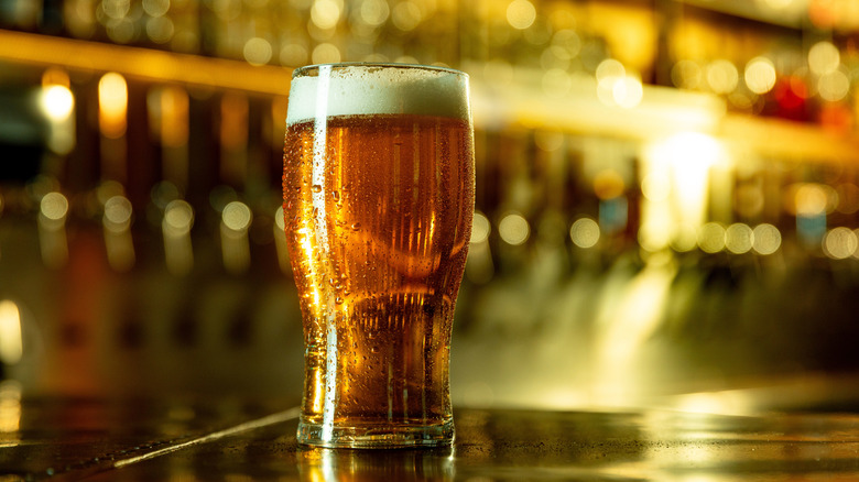 A beer in a glass at a bar.