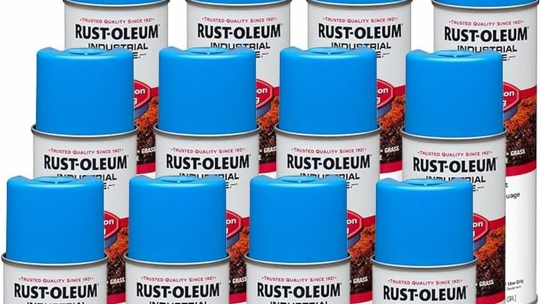 12 bottles of Rust-Oleum water-based paint on a white background.