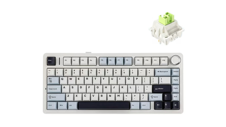 Mechanical keyboard with one of its switches on a white background