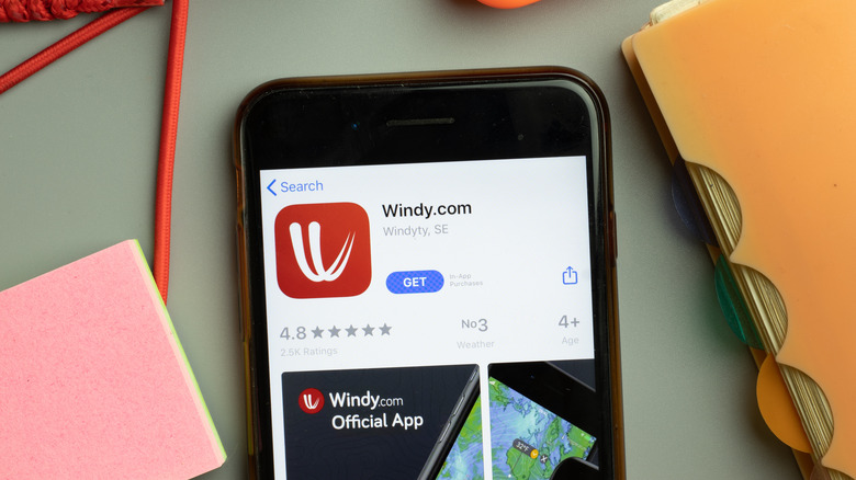 Windy.com app on smartphone