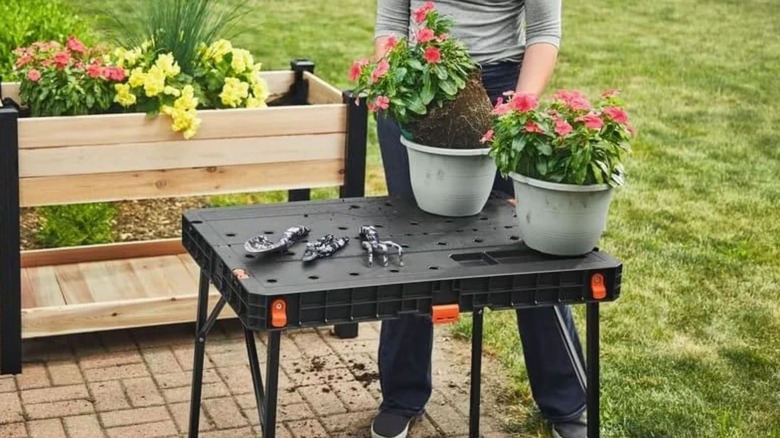 Plants and gardening tools on Black & Decker Foldable Workbench