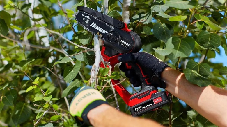 cutting tree branches with Bauer pruning saw