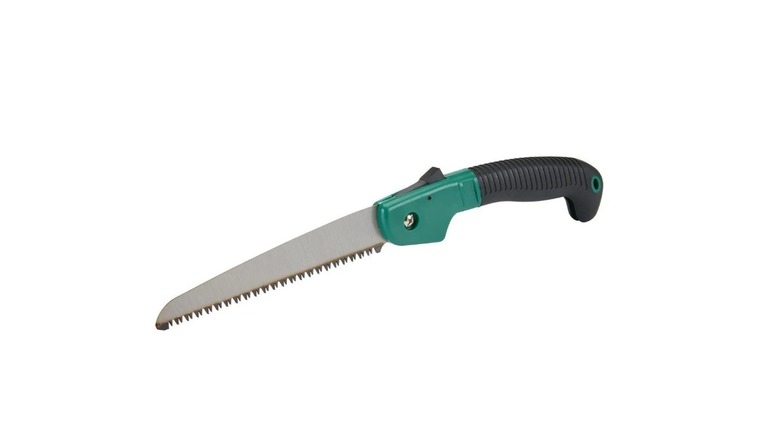Stock photo of a folding pruning saw