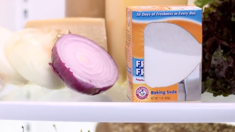Arm & Hammer Baking Soda inside a fridge next to an onion.