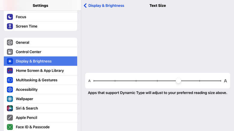 Screenshot of Text Size setting on iPad