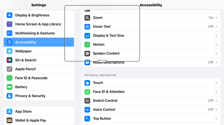 Screenshot showing iPad settings with Zoom box over the Zoom toggle