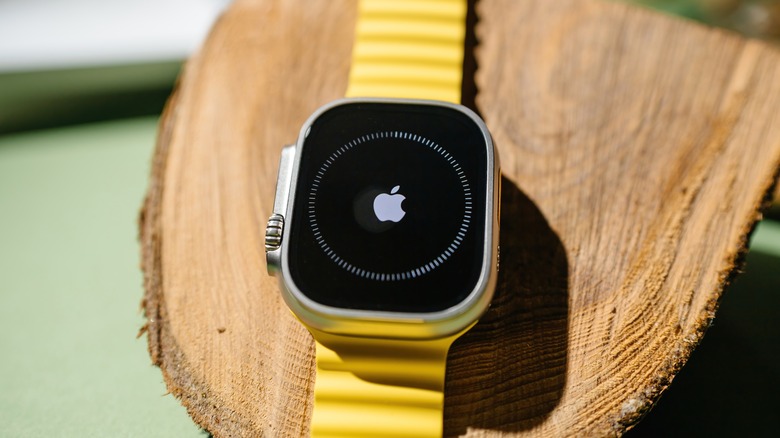 Apple Watch updating
