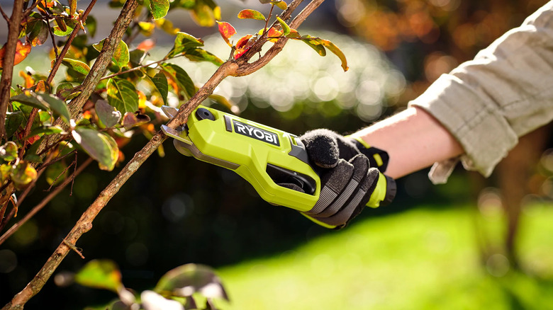 Ryobi USB Lithium pruning shears cutting a branch