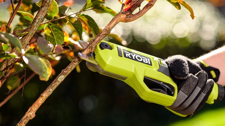 cutting branches with Ryobi pruning shears