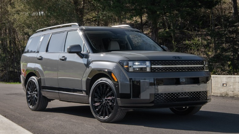 Gray Hyundai Santa Fe parked on asphalt with trees in the background