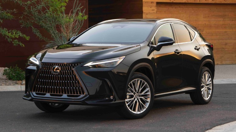 Black Lexus NX parked in front of a wooden structure
