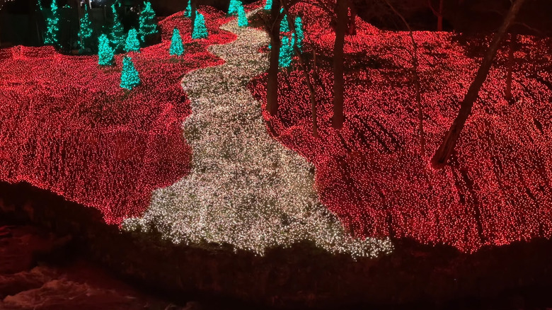 A landscape decorated entirely with Christmas lights