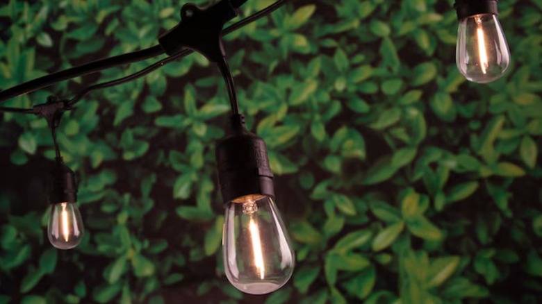 https://www.lowes.com/pd/Portfolio-48-ft-18-Light-Shade-Plug-in-Vintage-Bulbs-String-Lights/1001774538