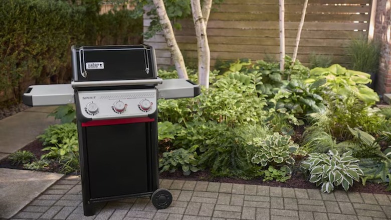 Weber Spirit E-325 Gas Grill set up in backyard