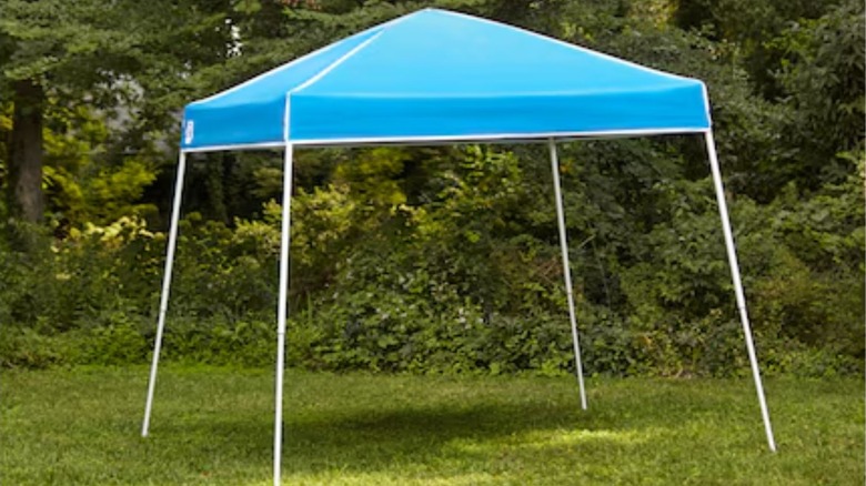 Z-Shade Pop-Up Canopy set up on grass