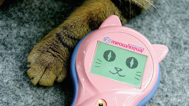 A Meowlingual near a cat arm.