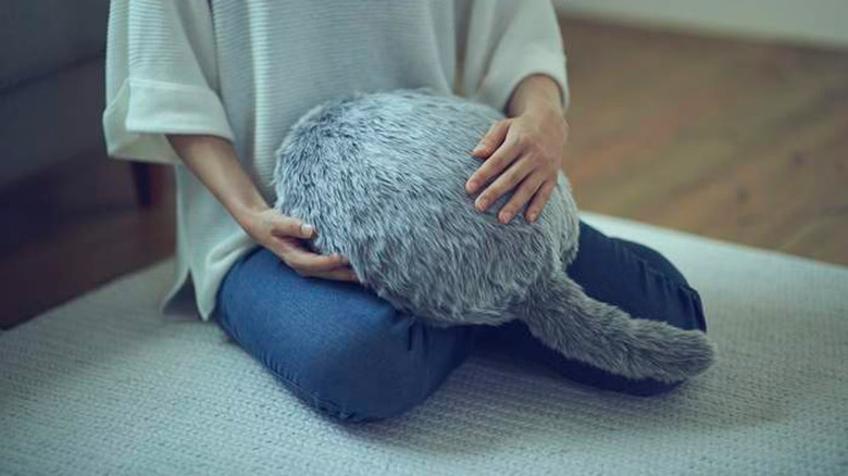 A Qoobo on a woman's lap.