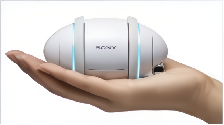 A sony rolly in a hand.