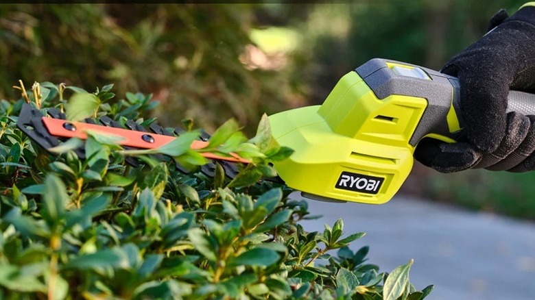 Person using Ryobi shear shrubber