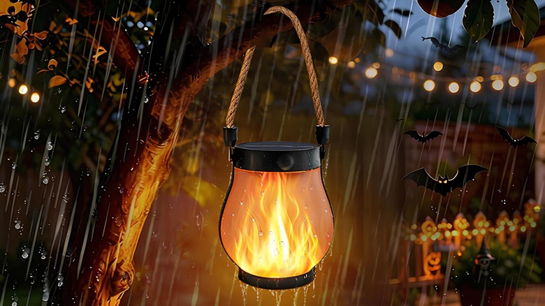 Orange lantern hanging on a tree