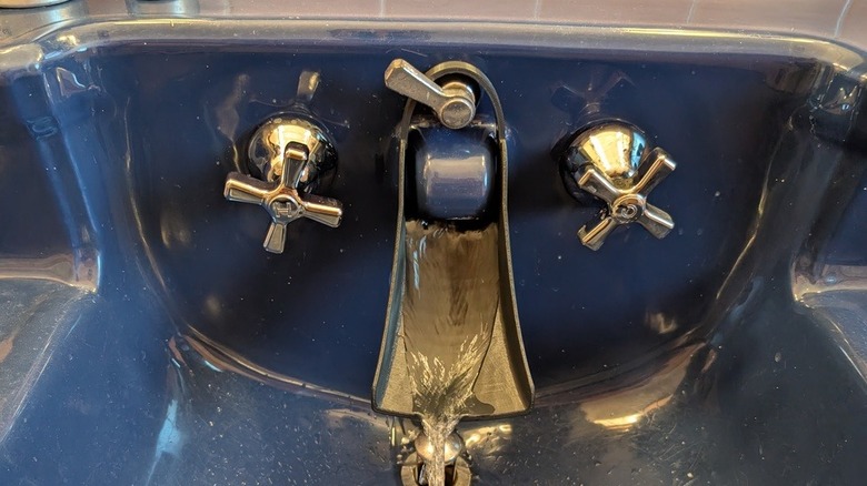 A faucet extender on a Companion Shelfback sink