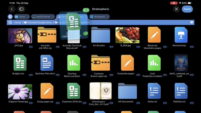 FileBrowser Professional interface on an iPad