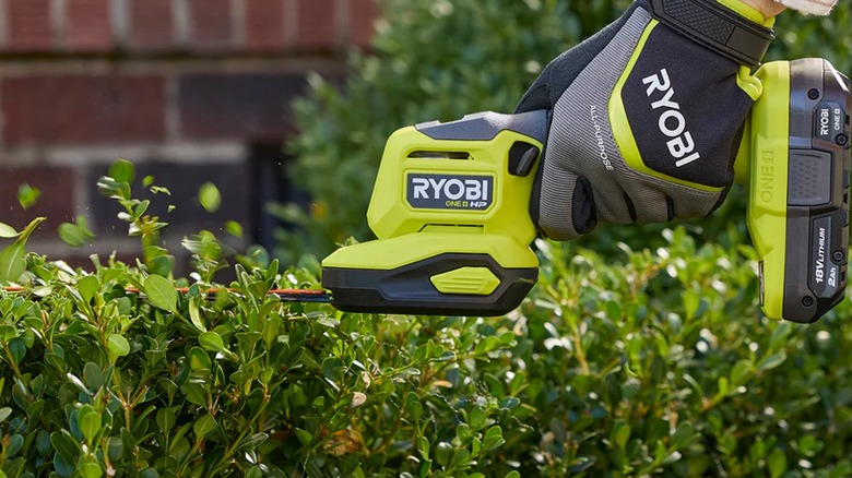 cutting hedges with Ryobi trimmer