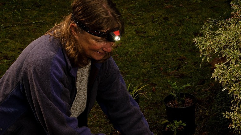 Person wearing headlamp at night