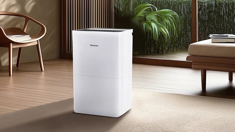 Hisense dehumidifier inside home