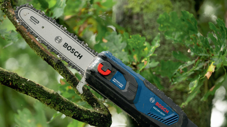 Pole chainsaw being used to cut off high branches
