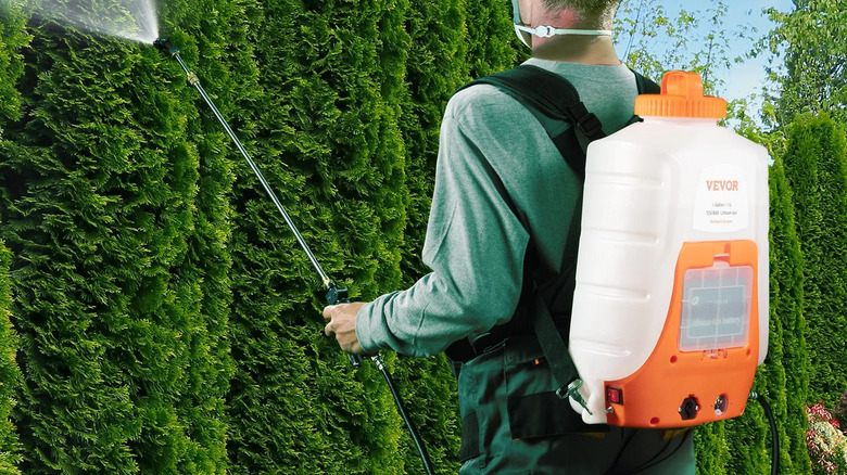 Vevor 4 Gallon Backpack Sprayer in use