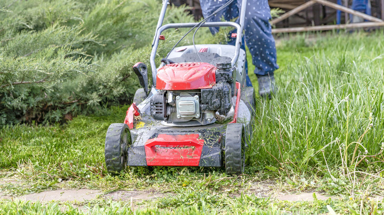 A person cutting through tall grass with gas mower.