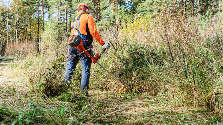 Landscaper handling overgrown area of grass with weed wacker.