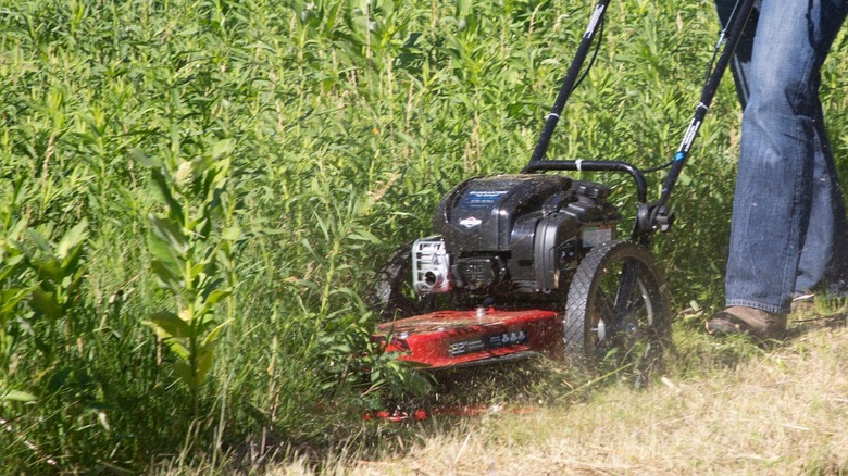 Person off camera cutting high grass with Toro string mower.