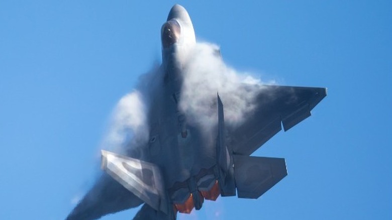 F-22 Raptor