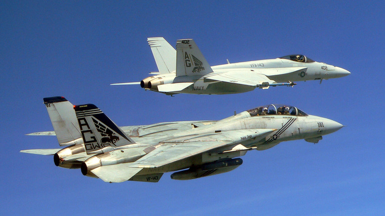 Two Grumman F-14 Tomcats in flight