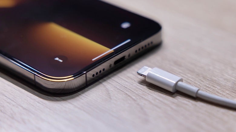 Lightning cable iPhone 13