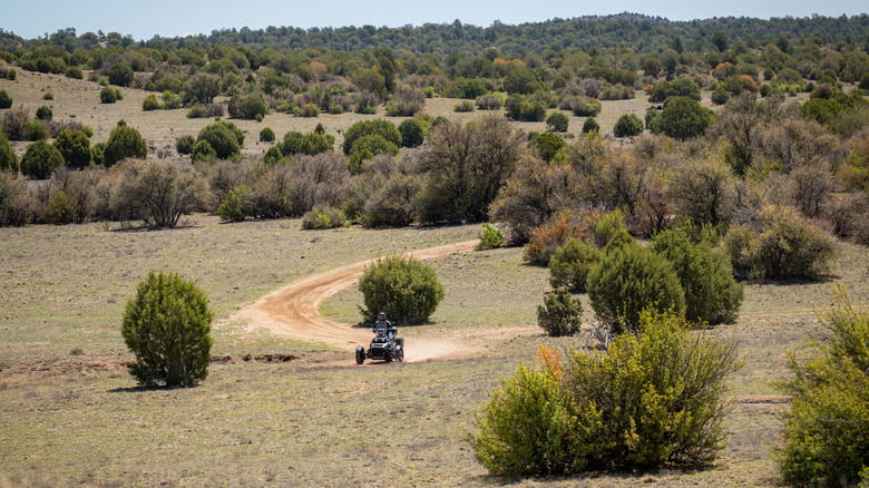 2025 Can-Am Canyon Redrock on the trail
