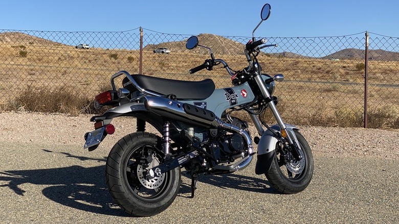 Honda dax 100 price store