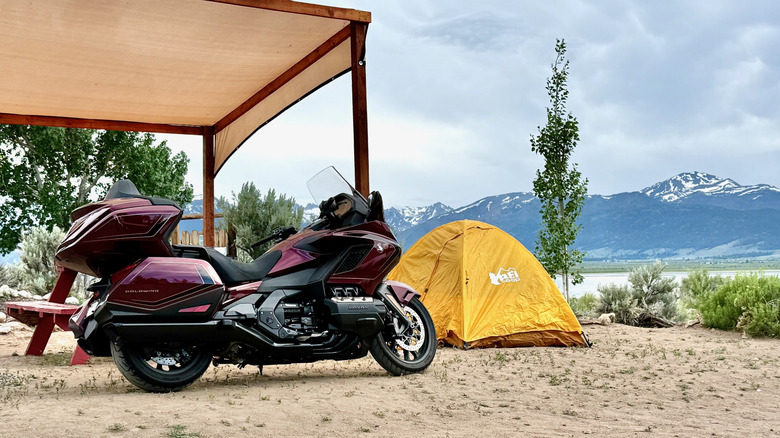 2025 Honda Gold Wing at a campsite