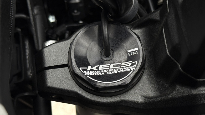 Kawasaki Versys 1100 adjustable suspension
