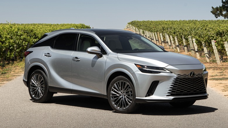 Silver Lexus RX parked in a vineyard