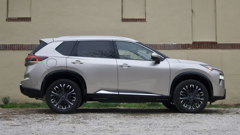 Rogue profile view