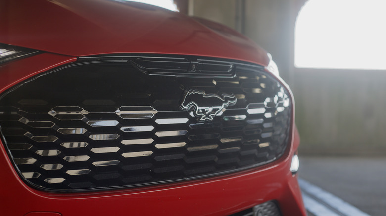Ford Mach-E front badge