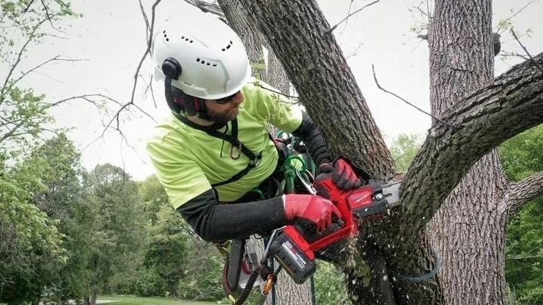 A working using the Milwaukee M18 Hatchet Pruning Saw to trim tree branches.