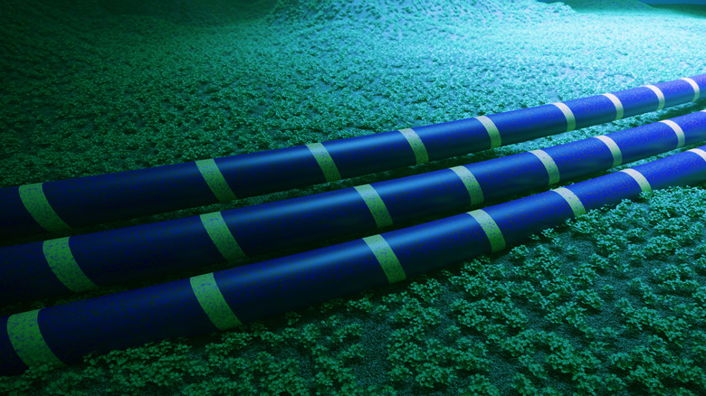 A rendering of cables on the ocean floor.