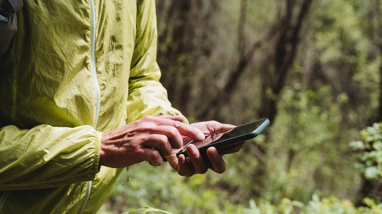 Person using a smartphone in nature